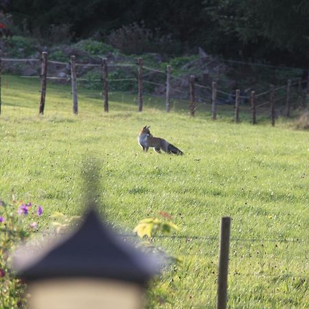 B&B Sol Magnus Stavelot Luaran gambar