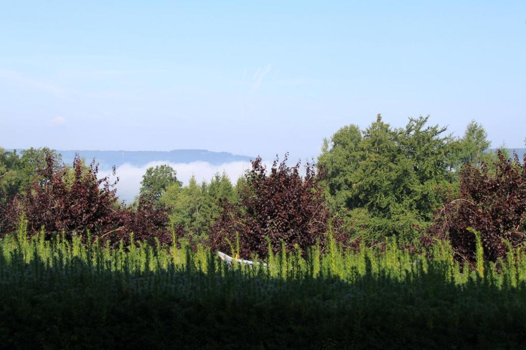 B&B Sol Magnus Stavelot Luaran gambar